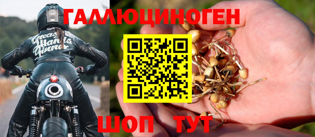 Галлюциногенные грибы MAGIC MUSHROOMS Сургут