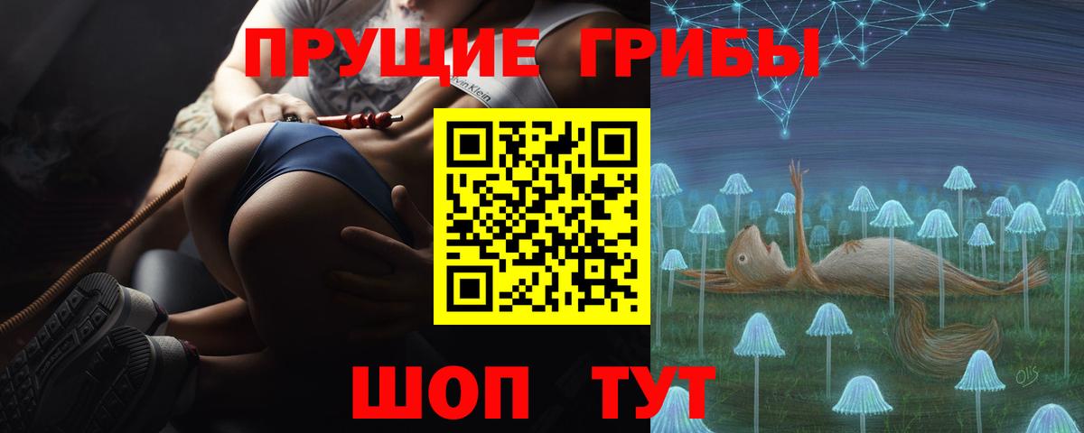 Сургут  Псилоцибиновые грибы GOLDEN TEACHER  Вход с VPN 